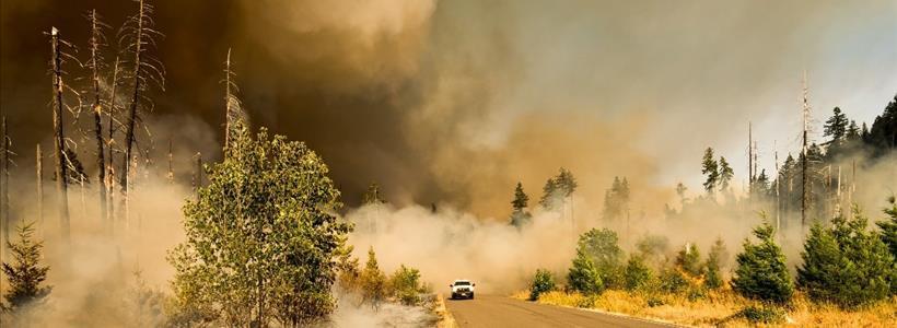 Wildfire Action Plan Ideas: How to Prepare for a Wildfire