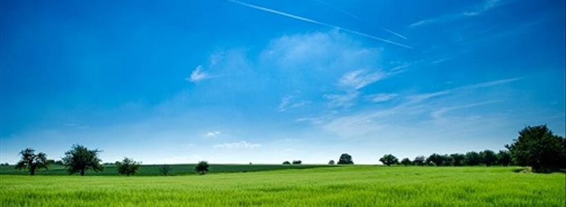Cut Waste, Save Money: How to Create a Sustainable Farm Business