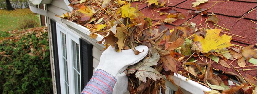 Spring Cleaning Tips & Tricks That Could Help Prevent Home Insurance Claims