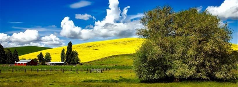 6 Ways to Protect Your Farm Business