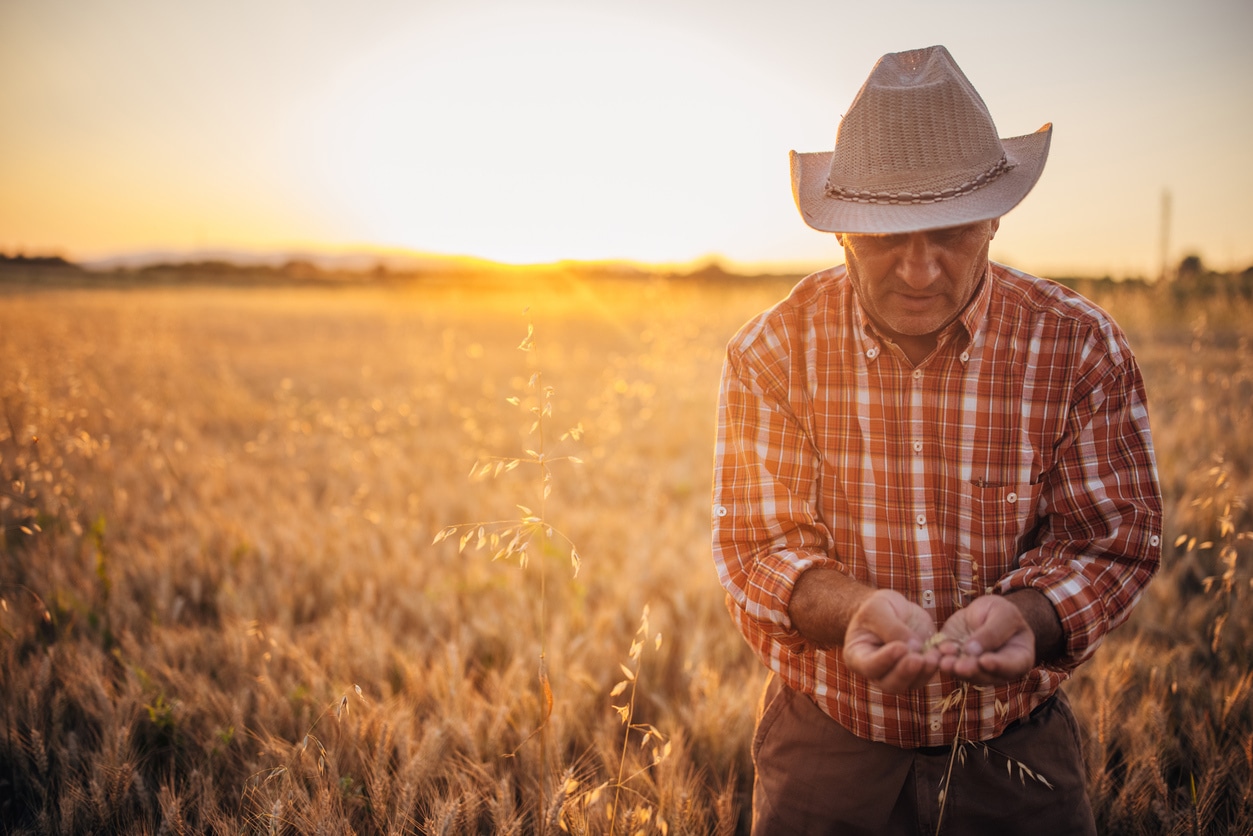 Questions to Ask Your Agent During Your Farm Insurance Policy Review