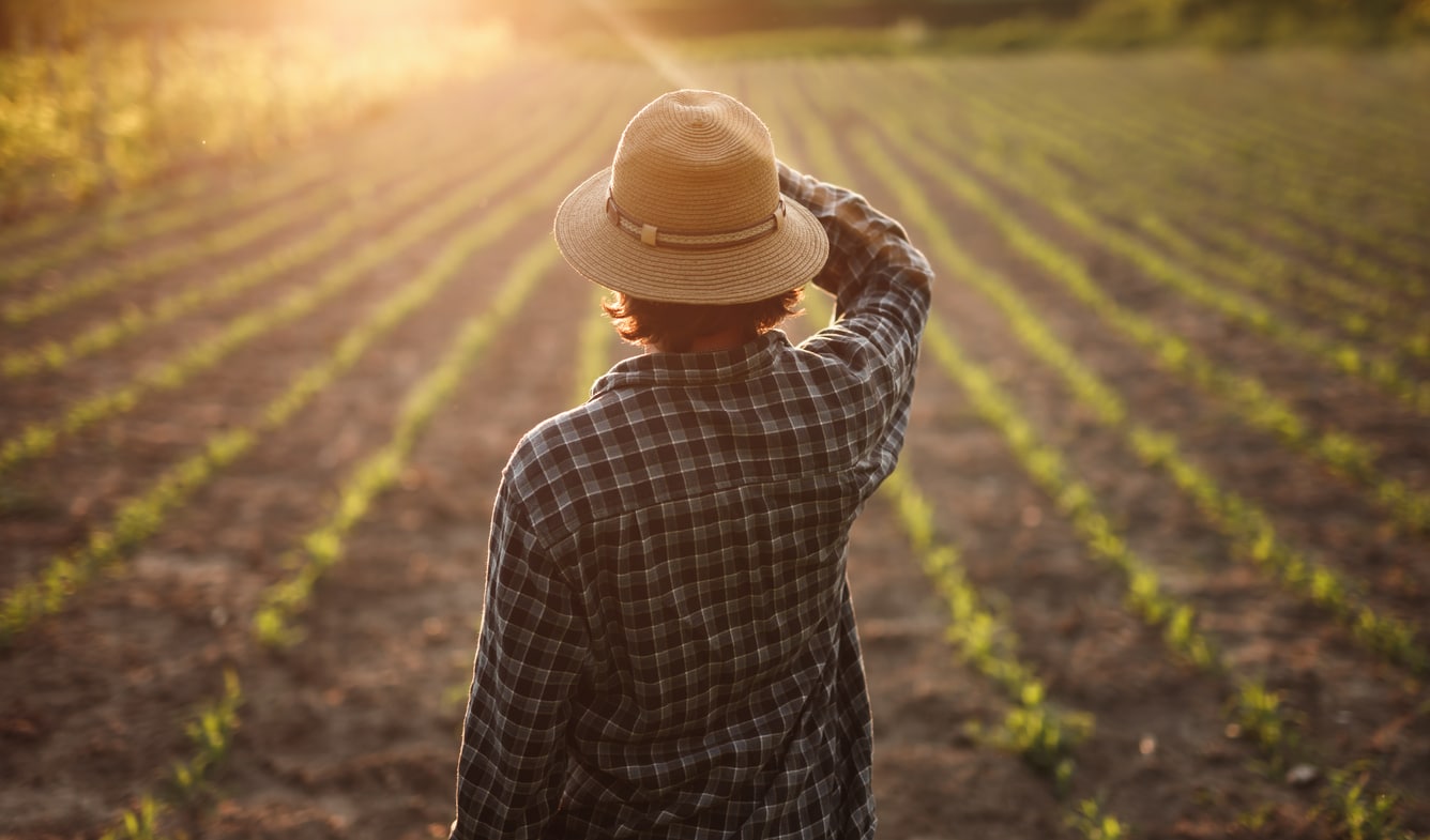 When Should You Update Insurance for Farms and Ranches